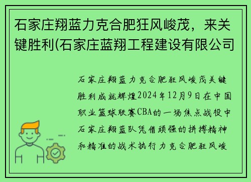 石家庄翔蓝力克合肥狂风峻茂，来关键胜利(石家庄蓝翔工程建设有限公司)